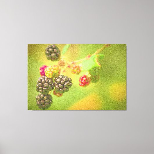 "Blackberries Fruit Plant" Kute foto. Bestel nu Canvas Afdruk (Voorkant)