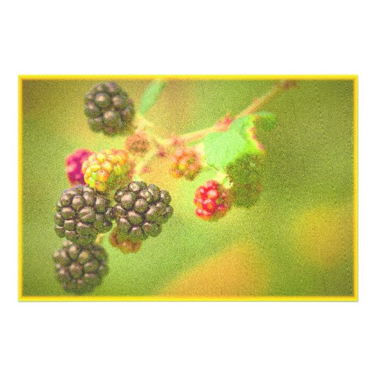 "Blackberries Fruit Plant" Kute foto. Bestel nu Foto Afdruk (Voorkant)