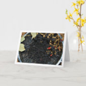 Blackberries in Colander Kaart (Gele Bloem)