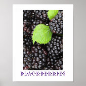 Blackberries Kitchen Art Poster (Voorkant)
