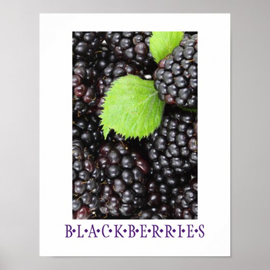 Blackberries Kitchen Art Poster (Voorkant)