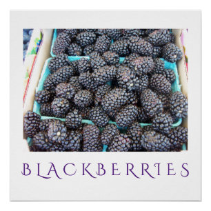 Blackberries Kitchen Art Poster voor thuisdeeg