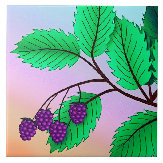 Blackberries op een tak tegeltje (Voorkant)
