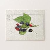 Blackberries (Rubus subg. Rubus Watson) Fruit Legpuzzel (Horizontaal)