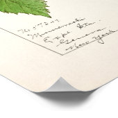 Blackberries (Rubus subg. Rubus Watson) Fruit Poster (Hoek)