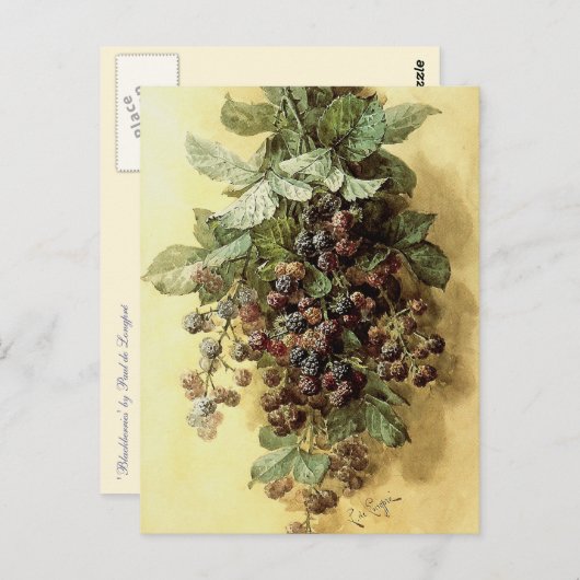 "Blackberries" van Paul de Longpré Briefkaart (Voorkant / Achterkant)