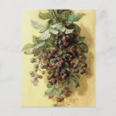 "Blackberries" van Paul de Longpré Briefkaart (Voorkant)