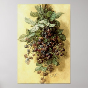 "Blackberries" van Paul de Longpré Poster