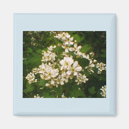 Blackberry Bloei Magneet