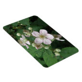 Blackberry Bloemen Premium Magneet (Rechterzijde)