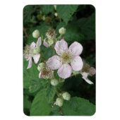 Blackberry Bloemen Premium Magneet (Verticaal)