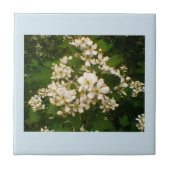 Blackberry Bloom Tegeltje (Voorkant)