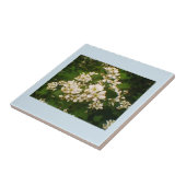 Blackberry Bloom Tegeltje (Zijkant)