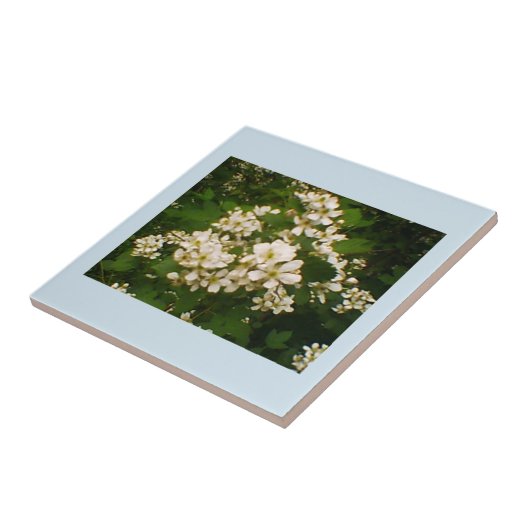 Blackberry Bloom Tegeltje (Zijkant)