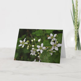 Blackberry Blossom Kaart