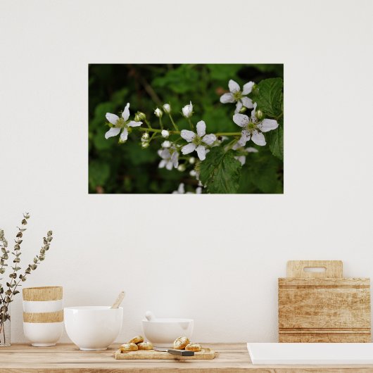 Blackberry Blossom Poster (Keuken)