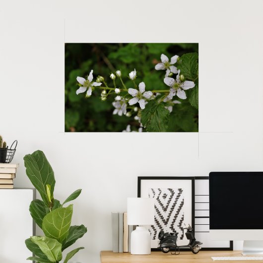 Blackberry Blossom Poster (Thuiskantoor)