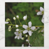 Blackberry Blossom Wijn Etiket (Enkel label)