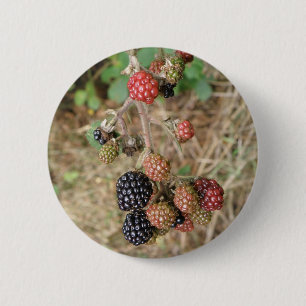 Blackberry Bonanza Button
