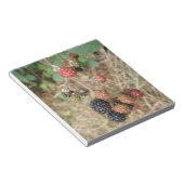 Blackberry Bonanza-laptop Notitieblok (Schuin)
