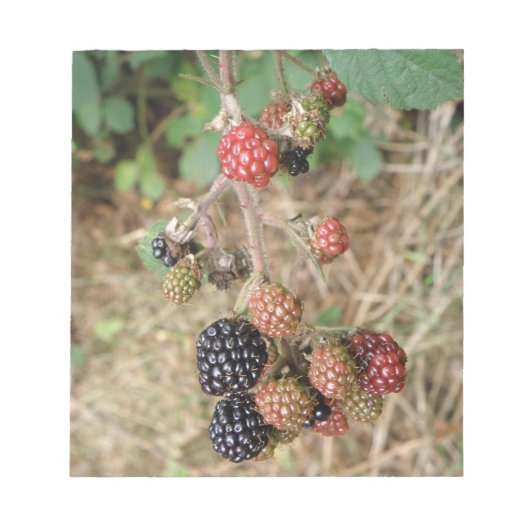 Blackberry Bonanza-laptop Notitieblok (Voorkant)