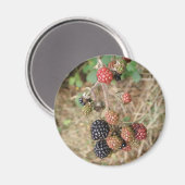 Blackberry Bonanza Magnet (Voorkant / Achterkant)