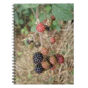 Blackberry Bonanza Notitieboek