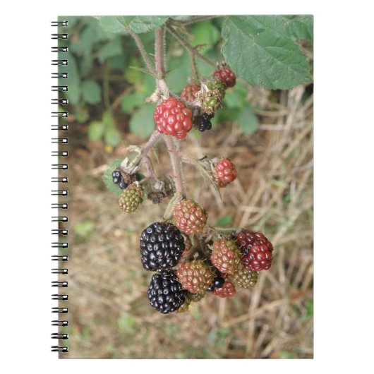 Blackberry Bonanza Notitieboek (Voorkant)