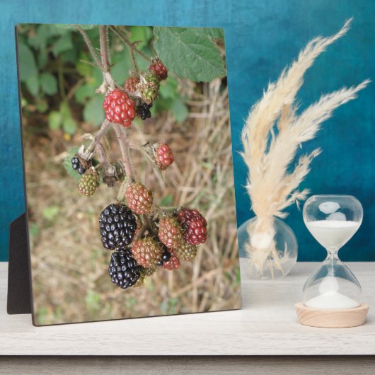 Blackberry Bonanza Plaque Fotoplaat (Zijkant)
