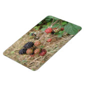 Blackberry Bonanza Premium Magnet Magneet (Linkerzijde)