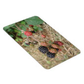 Blackberry Bonanza Premium Magnet Magneet (Rechterzijde)