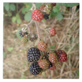 Blackberry Bonanza Tile Tegeltje (Voorkant)