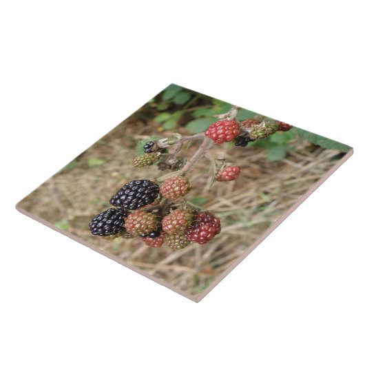 Blackberry Bonanza Tile Tegeltje (Zijkant)
