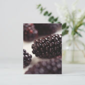 Blackberry Closeup Briefkaart (Staand voorkant)