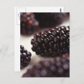 Blackberry Closeup Briefkaart (Voorkant / Achterkant)