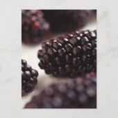 Blackberry Closeup Briefkaart (Voorkant)