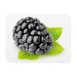 Blackberry en munt magneet