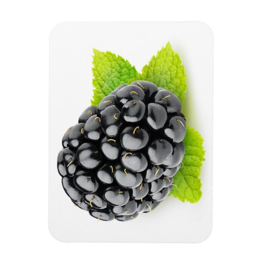 Blackberry en munt magneet (Verticaal)