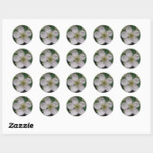 BlackBerry Flower Macro Sticker (Vel)