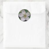 BlackBerry Flower Macro Sticker (Tas)