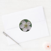 BlackBerry Flower Macro Sticker (Envelop)