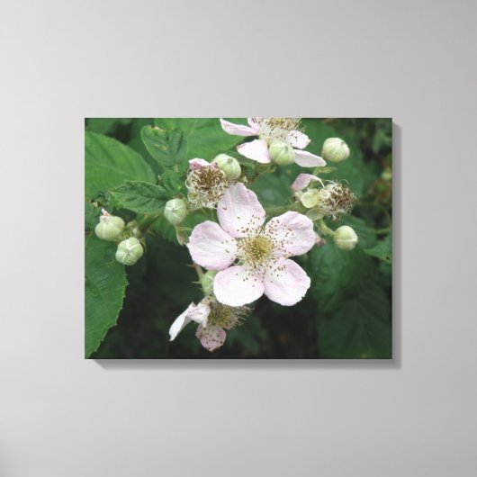 Blackberry Flowers Canvas afdrukken (Voorkant)
