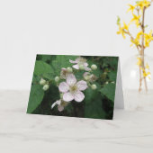 Blackberry Flowers Custom Wenskaart Kaart (Gele Bloem)