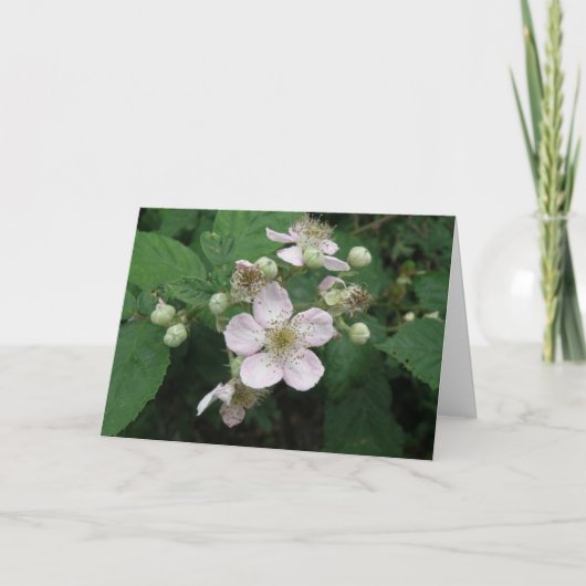Blackberry Flowers Custom Wenskaart Kaart (Voorkant)