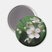 Blackberry Flowers Magnet (Voorkant / Achterkant)