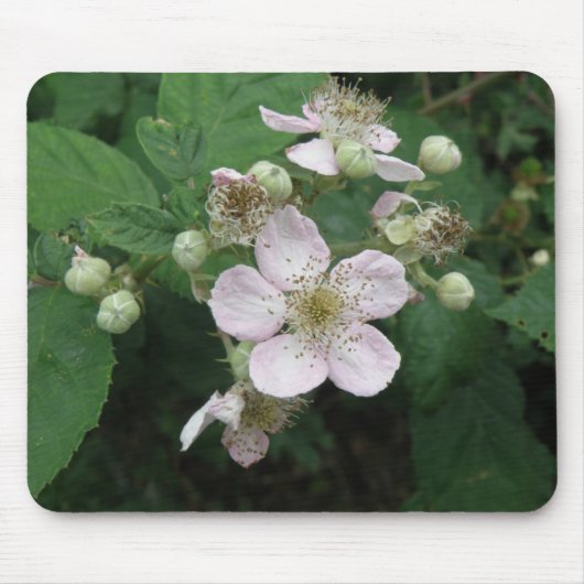 Blackberry Flowers Mousepad Muismat (Voorkant)