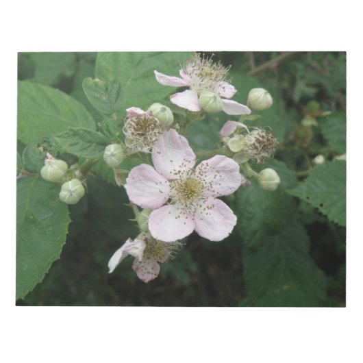 Blackberry Flowers Notepad Notitieblok (Voorkant)
