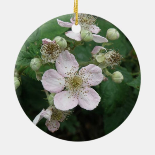 Blackberry Flowers Ornaments Keramisch Ornament (Achterkant)