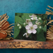 Blackberry Flowers Plaque Fotoplaat (Zijkant)