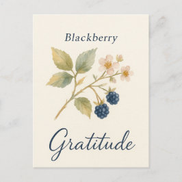 Blackberry — Gratitude Postcard Briefkaart